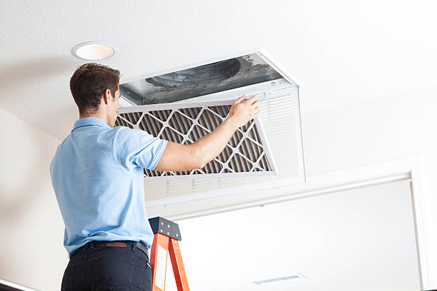 Best Residential HVAC Services  in Tierra Verde, FL